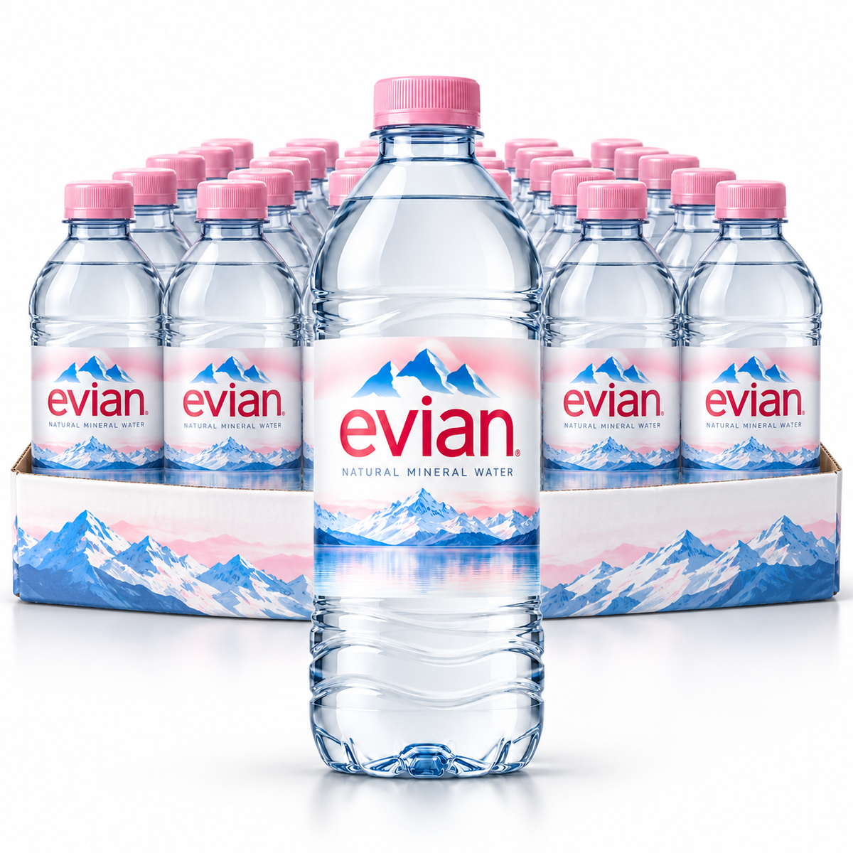 Evian Still Natural Mineral Water – 24 Bottle Case